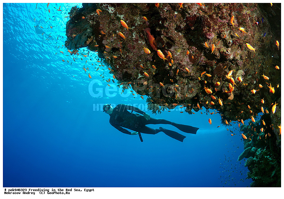 ��������� ���, ��� �����, ������� ����, ����, ��������� ����������, ������, ����������, ������, �����, �����, ���, ������, ������� ����, ����, ������, ���������, ��������, ��� �����, ���������, ���������, ���������, ���������, ��������� ���, ����������, �����, ������, ��������, ����������, ���������, �������, �������������, ����������, ������, ���, ����������