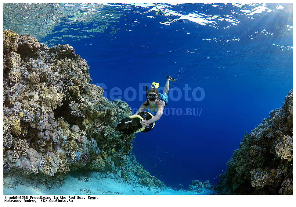 ��������� ���, ��� �����, ������� ����, ����, ��������� ����������, ������, ����������, ������, �����, �����, ���, ������, ������� ����, ����, ������, ���������, ��������, ��� �����, ���������, ���������, ���������, ���������, ��������� ���, ����������, �����, ������, ��������, ����������, ���������, �������, �������������, ����������, ��������� ������, ������,  ����������������, ��������� ����������������, ��������� ������, ��������� �����������, ������, ����������� , ������, ���, ����������