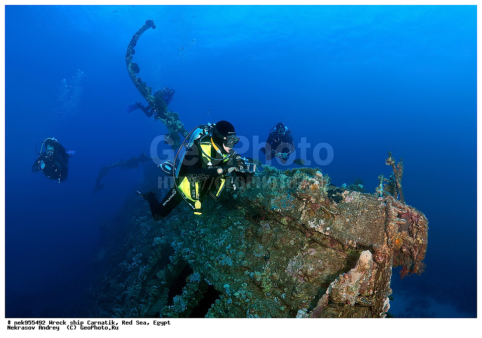 �����, ���������� �����, ��������, ����, �������, ������, ��������� ���, ��������� ����������, ���, �������, ��������� ��������, ��� �����, ����, ����, �����, ������� ����, ������, �������, ����� ����, ������, ���������, �����������, ������, ������, �����������, �������, �����, �������, �������, ������������