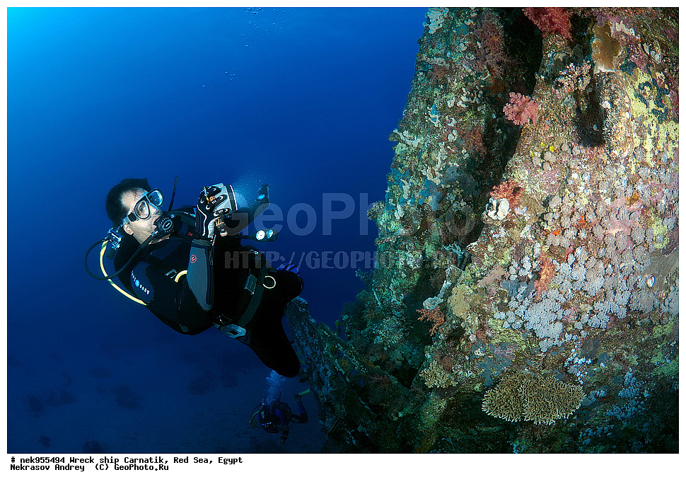 �����, ���������� �����, ��������, ����, �������, ������, ��������� ���, ��������� ����������, ���, �������, ��������� ��������, ��� �����, ����, ����, �����, ������� ����, ������, �������, ����� ����, ������, ���������, �����������, ������, ������, �����������, �������, �����, �������, �������, ������������