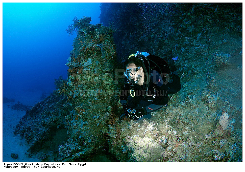 �����, ���������� �����, ��������, ����, �������, ������, ��������� ���, ��������� ����������, ���, �������, ��������� ��������, ��� �����, ����, ����, �����, ������� ����, ������, �������, ����� ����, ������, ���������, �����������, ������, ������, �����������, �������, �����, �������, �������, ������������