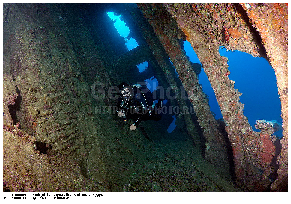 �����, ���������� �����, ��������, ����, �������, ������, ��������� ���, ��������� ����������, ���, �������, ��������� ��������, ��� �����, ����, ����, �����, ������� ����, ������, �������, ����� ����, ������, ���������, �����������, ������, ������, �����������, �������, �����, �������, �������, ������������