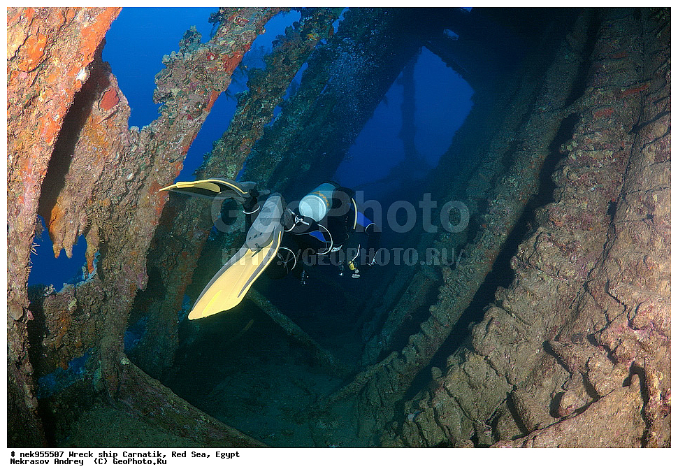 �����, ���������� �����, ��������, ����, �������, ������, ��������� ���, ��������� ����������, ���, �������, ��������� ��������, ��� �����, ����, ����, �����, ������� ����, ������, �������, ����� ����, ������, ���������, �����������, ������, ������, �����������, �������, �����, �������, �������, ������������