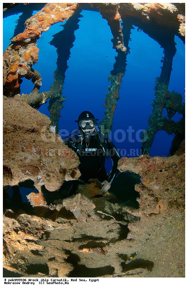 �����, ���������� �����, ��������, ����, �������, ������, ��������� ���, ��������� ����������, ���, �������, ��������� ��������, ��� �����, ����, ����, �����, ������� ����, ������, �������, ����� ����, ������, ���������, �����������, ������, ������, �����������, �������, �����, �������, �������, ������������