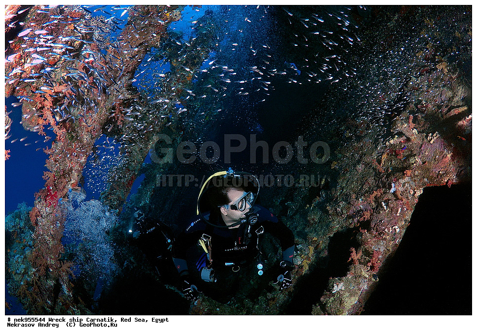 �����, ���������� �����, ��������, ����, �������, ������, ��������� ���, ��������� ����������, ���, �������, ��������� ��������, ��� �����, ����, ����, �����, ������� ����, ������, �������, ����� ����, ������, ���������, �����������, ������, ������, �����������, �������, �����, �������, �������, ������������