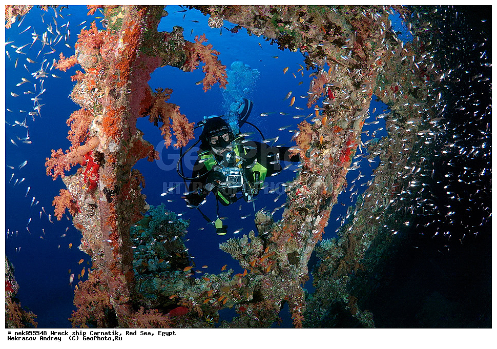 �����, ���������� �����, ��������, ����, �������, ������, ��������� ���, ��������� ����������, ���, �������, ��������� ��������, ��� �����, ����, ����, �����, ������� ����, ������, �������, ����� ����, ������, ���������, �����������, ������, ������, �����������, �������, �����, �������, �������, ������������