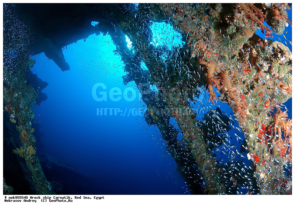 �����, ���������� �����, ��������, ����, �������, ������, ��������� ���, ��������� ����������, ���, �������, ��������� ��������, ��� �����, ����, ����, �����, ������� ����, ������, �������, ����� ����, ������, ���������, �����������, ������, ������, �����������, �������, �����, �������, �������, ������������