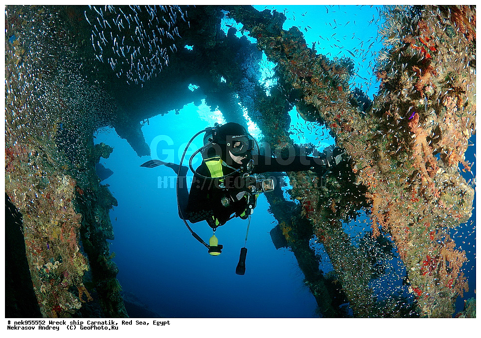 �����, ���������� �����, ��������, ����, �������, ������, ��������� ���, ��������� ����������, ���, �������, ��������� ��������, ��� �����, ����, ����, �����, ������� ����, ������, �������, ����� ����, ������, ���������, �����������, ������, ������, �����������, �������, �����, �������, �������, ������������