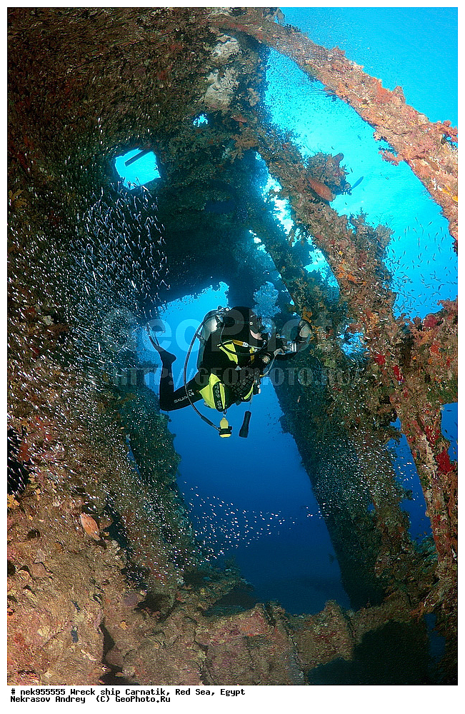 �����, ���������� �����, ��������, ����, �������, ������, ��������� ���, ��������� ����������, ���, �������, ��������� ��������, ��� �����, ����, ����, �����, ������� ����, ������, �������, ����� ����, ������, ���������, �����������, ������, ������, �����������, �������, �����, �������, �������, ������������