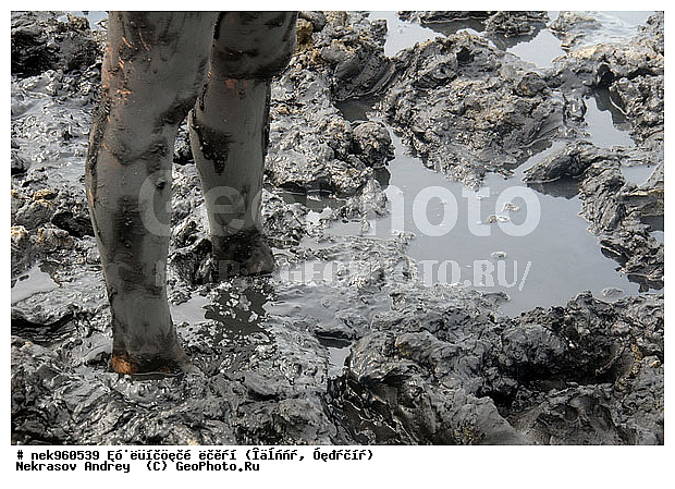 ����������� �����, ������� ��������, ������� ��������, ��������, ����������� ������, ����������� �����, ������, ��������, �������, ������, ������, ����, ����, ��������, �������� ����������� ������, ������������, �����, �����, ����, ������, �����������, ��������, ��������, ��������, �����, ������, ����, ����������� ����, ����������� ����, �����, ����������, ����, ����, �����, ���� �����������, �����, �������, ����, ���, ��� ������, �������