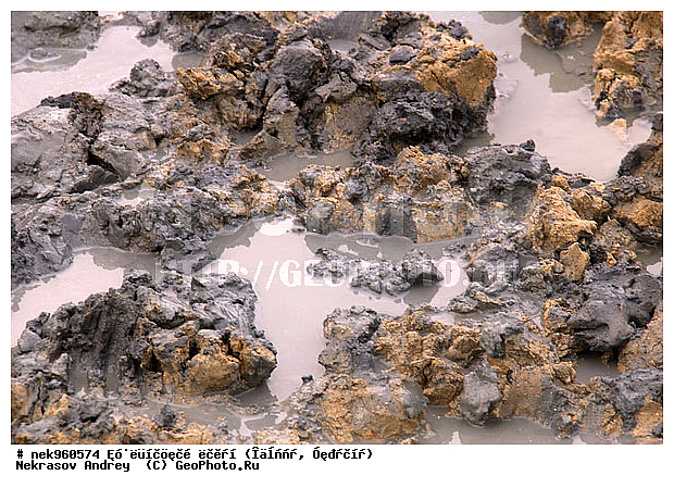 ����������� �����, ������, �������, �����, �������, ������� �����, ��������, ������������, �����, ������, �����