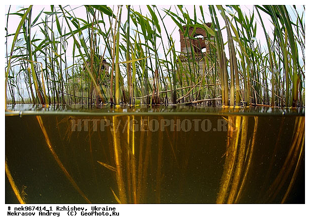 �����, ���������, �������� �������, ������, �������, �������������, ����, ���������, �����, �����, ������ �������, �������