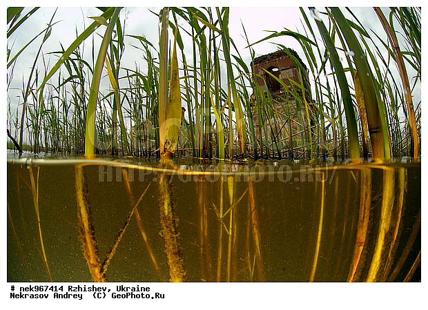 �����, ���������, �������� �������, ������, �������, �������������, ����, ���������, �����, �����, ������ �������, �������