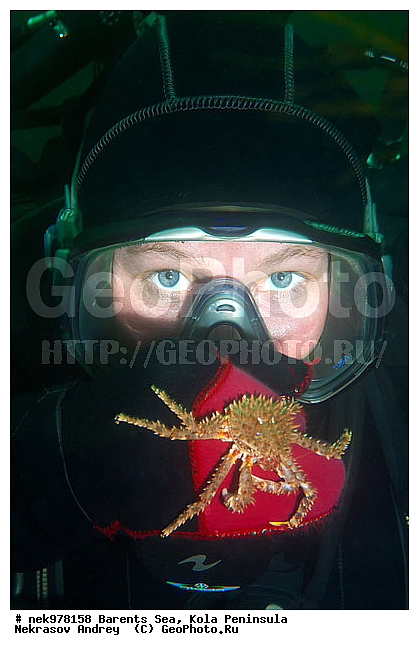 Paralithodes camtschaticus, �������, �������, �����������, �����������, �����������, �����������, ��������� ����, ������ ����, ���������� ����������� ����, ���������� ����, ����������� ������������, ��������, ����� ����, ����������, ����������, ����������, ���������� ����, �������� ���������, ����������� ����-����������, ��������� ���, ������������, ������, �������������, �����������, ������, ��������������, ���, ����, ������ �����, ������, ������, �����, �������������, ������, �������, ����� �������, ��������, ����� ����, ���������, �����������, ����������, ����������, ��������, ����������� ����, ����, �����, ������� ����������� ����, ������� �����, ������� ��������, ������� �����, ��������� ����, �����, ����������, ���������� ��� ����, ���, ���������, ��������� ����������, ���������, ���������, ���������, ��������� ����������, ���������, ��������� ���, ��������� �����, ��������, ��������, ��������, �����������, �����, ������, ��������, ��������, ��������, ������, ������� � ��������� ���, ������� � �������, �������� ����, ����������� ����