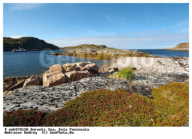 Arctic landscape, Arctic regions, Barentsevo, Barents sea, Kola peninsula, Water, coast, landscape, nature, nature of Arctic regions, peninsula, reservoir, sea, stone, stones, �������, �����������, �����������, �����������, �����������, ��������� ����, ����������, ����������, ����������, ��������, ��������, ������, ��������, ���������, ����, ���������, ����, ����, �����������, ����������� ����, ��������, ��������, ��������-�������� ����, ������, ��������, ��������, ��������, ������