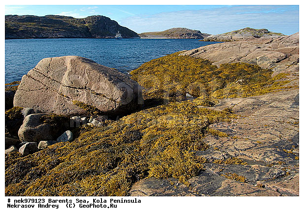 Arctic landscape, Arctic regions, Barentsevo, Barents sea, Kola peninsula, Water, coast, landscape, nature, nature of Arctic regions, peninsula, reservoir, sea, stone, stones, �������, �����������, �����������, �����������, �����������, ��������� ����, ����������, ����������, ����������, ��������, ������́��, ��������, ������, ��������, ���������, ����, ���������, ����, ����, ������́����� ����, ��������, �����������, ����������� ����, ��������, ��������, ��������-�������� ����, ������, ��������, ��������, ��������, ������, ��������, ��������, ��������, �������, ���