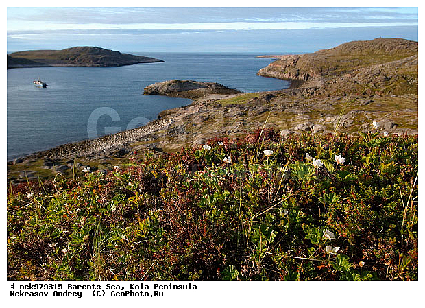, Arctic landscape, Arctic regions, Barentsevo, Barents sea, Kola peninsula, Water, coast, landscape, nature, nature of Arctic regions, peninsula, reservoir, sea, stone, stones, �������, �������, �����������, �����������, �����������, �����������, ���������, ��������� ����, ����������, ����������, ����������, ��������, �������� ����������, ������, ��������, ����������� ������, ���������, ����, ���������, ����, ����, ������, ����������, ��������, ��������, �������, ������� �������, ������, ��������, ��������, ��������, ������, ������, ������, �����