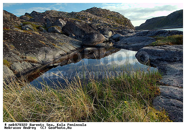 Arctic landscape, Arctic regions, Barentsevo, Barents sea, Kola peninsula, Water, coast, landscape, nature, nature of Arctic regions, peninsula, reservoir, sea, stone, stones, �������, �����������, �����������, �����������, �����������, ��������� ����, ����������, ����������, ����������, ��������, ������, ��������, ���������, ����, ���������, ����, ����, ��������, ��������, ������, ��������, ��������, ��������, ������