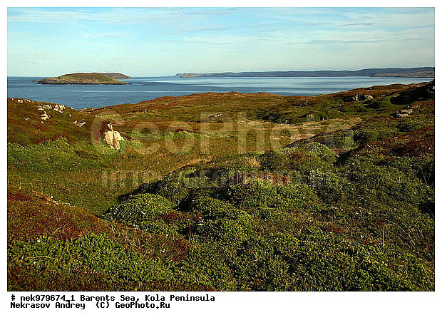 , Arctic landscape, Arctic regions, Barentsevo, Barents sea, Kola peninsula, Water, coast, landscape, nature, nature of Arctic regions, peninsula, reservoir, sea, stone, stones, �������, �������, �����������, �����������, �����������, �����������, ���������, ��������� ����, ����������, ����������, ����������, ��������, �������� ����������, ������, ������������, ���� ��������, ������, ����������� ������, ���������, ����������, ���������� ������������, ���������, ����, ����, ������, ������ ������, ������, ����������, ��������, ��������, �������, ������� �������, ������, ��������, ��������, ��������, ������, ������