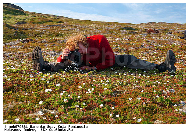 �������, �������, �����������, �����������, �����������, �����������, ��������� ����, ����������, ����������, ����������, ��������, ������, ������������, ���� ��������, ������, ����������� ������, ���������, ����������, ���������� ������������, ���������, ����, ����, ������, ������ ������, ������, ��������, ��������, �������, ������� �������, ������, ��������, ��������, ��������, ������