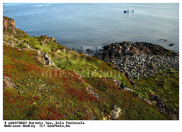 �������, �������, �����������, �����������, �����������, �����������, ��������� ����, ����������, ����������, ����������, ��������, ������, ������������, ���� ��������, ������, ����������� ������, ���������, ����������, ���������� ������������, ���������, ����, ����, ������, ������ ������, ������, ��������, ��������, �������, ������� �������, ������, ��������, ��������, ��������, ������