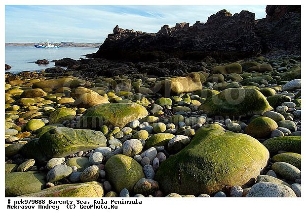 �������, �������, �����������, �����������, �����������, �����������, ��������� ����, ����������, ����������, ����������, ��������, ��������, ������, ������������, ���� ��������, ������, ����������� ������, ���������, ����������, ���������� ������������, ���������, ����, ����, ��������, �����������, ����������� ����, ������, ������ ������, ������, ��������, ��������, ��������-�������� ����, �������, ������� �������, ������, ��������, ��������, ��������, ������