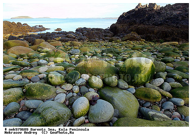 �������, �������, �����������, �����������, �����������, �����������, ��������� ����, ����������, ����������, ����������, ��������, ��������, ������, ������������, ���� ��������, ������, ����������� ������, ���������, ����������, ���������� ������������, ���������, ����, ����, ��������, �����������, ����������� ����, ������, ������ ������, ������, ��������, ��������, ��������-�������� ����, �������, ������� �������, ������, ��������, ��������, ��������, ������, ��������, ��������, ��������, �������, ���