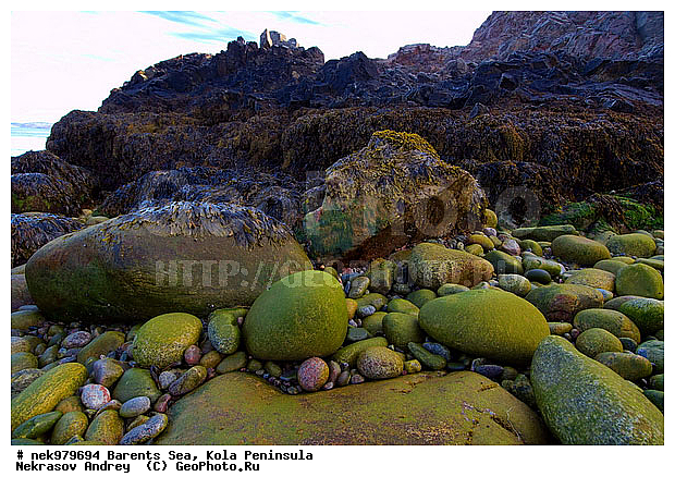 �������, �������, �����������, �����������, �����������, �����������, ��������� ����, ����������, ����������, ����������, ��������, ��������, ������, ������������, ���� ��������, ������, ����������� ������, ���������, ����������, ���������� ������������, ���������, ����, ����, ��������, �����������, ����������� ����, ������, ������ ������, ������, ��������, ��������, ��������-�������� ����, �������, ������� �������, ������, ��������, ��������, ��������, ������, ��������, ��������, ��������, �������, ���