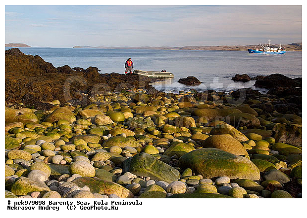 �������, �������, �����������, �����������, �����������, �����������, ��������� ����, ����������, ����������, ����������, ��������, ��������, ������, ������������, ���� ��������, ������, ����������� ������, ���������, ����������, ���������� ������������, ���������, ����, ����, ��������, �����������, ����������� ����, ������, ������ ������, ������, ��������, ��������, ��������-�������� ����, �������, ������� �������, ������, ��������, ��������, ��������, ������