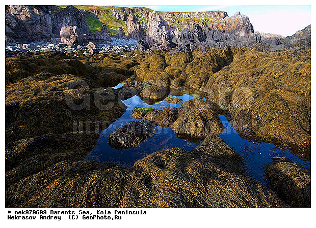 �������, �������, �����������, �����������, �����������, �����������, ��������� ����, ����������, ����������, ����������, ��������, ��������, ������, ������������, ���� ��������, ������, ����������� ������, ���������, ����������, ���������� ������������, ���������, ����, ����, ��������, �����������, ����������� ����, ������, ������ ������, ������, ��������, ��������, ��������-�������� ����, �������, ������� �������, ������, ��������, ��������, ��������, ������