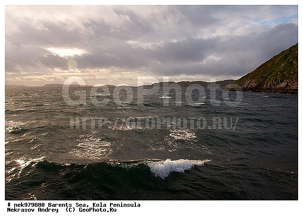 �������, �������, �����������, �����������, �����������, �����������, ��������� ����, ����������, ����������, ����������, ��������, ������, ������������, ���� ��������, ������, ����������� ������, ���������, �����, �����, ����������, ���������� ������������, ���������, ����, ����, ������, ������ ������, ������, ��������, ��������, �������, ������� �������, ������, ��������, ��������, ��������, ������, �����