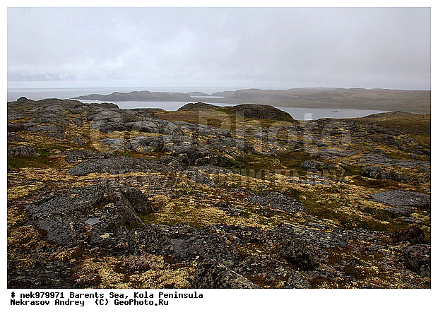 �������, �������, �����������, �����������, �����������, �����������, ��������� ����, ����������������, ���������������� �����, ���������������� ����, ����������, ����������, ����������, �������, ��������, ������, ������������, ���� ��������, ������, ����������� ������, ���������, �����, ����� ������� �������, ����, ������� �������, �����, ����������, ���������� ������������, ���������, ����, ����, ������, ������ ������, ������, ��������, ��������, �������, ������� �������, ������, ��������, ��������, ��������, ������