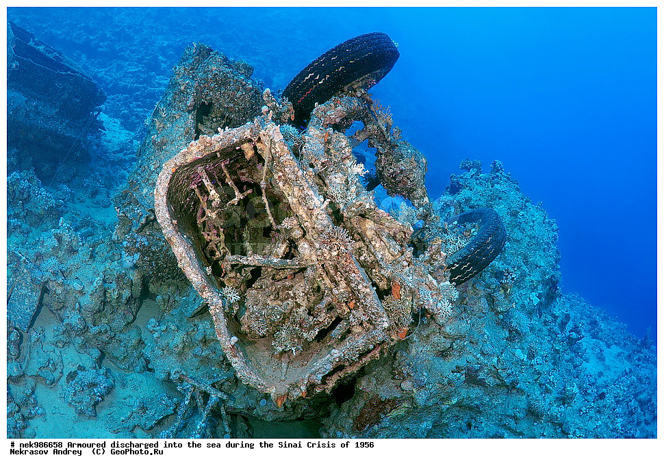 ������������, ����, ��������� ������, ������� �����, �����, �������, �������, �������, ���������, ������, ����������, ��� �����, ���������, ���������, ����������, ����, ����, ��������� ���, �������, ���, �� ���, ������� ����, ������, ����������, ���, ����������, ����������, �����, ��, ���, �������������, ������, ������, ��������, �����������, ����������, �������, 1956, ���, ���������, �����, ������, �����������, ����������, ����������, ������������, �����, ���������, ���������, Bedford, ��������, ����������