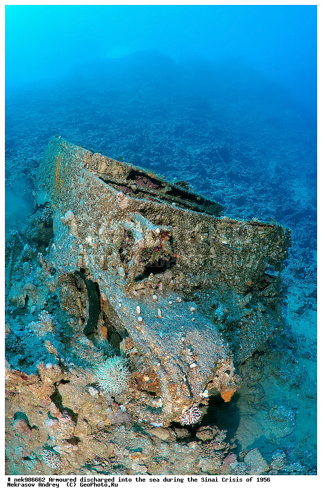 ������������, ����, ��������� ������, ������� �����, �����, �������, �������, �������, ���������, ������, ����������, ��� �����, ���������, ���������, ����������, ����, ����, ��������� ���, �������, ���, �� ���, ������� ����, ������, ����������, ���, ����������, ����������, �����, ��, ���, �������������, ������, ������, ��������, �����������, ����������, �������, 1956, ���, ���������, �����, ������, �����������, ����������, ����������, ������������, �����, ���������, �����������������, ����������������, Bren Carrier, MK-1, ��������, ���