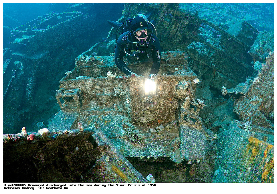 ������������, ����, ��������� ������, ������� �����, �����, �������, �������, �������, ���������, ������, ����������, ��� �����, ���������, ���������, ����������, ����, ����, ��������� ���, �������, ���, �� ���, ������� ����, ������, ����������, ���, ����������, ����������, �����, ��, ���, �������������, ������, ������, ��������, �����������, ����������, �������, 1956, ���, ���������, �����, ������, �����������, ����������, ����������, ������������, �����, ���������, �����������������, ����������������, Bren Carrier, MK-1, ��������, ���