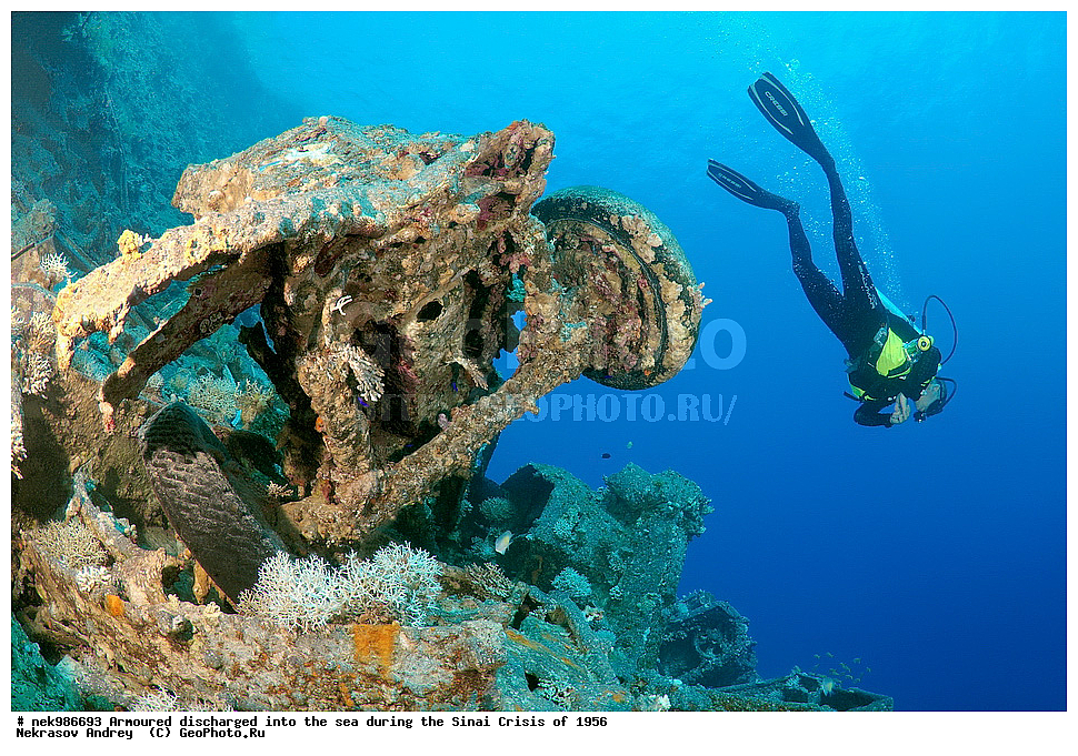 ������������, ����, ��������� ������, ������� �����, �����, �������, �������, �������, ���������, ������, ����������, ��� �����, ���������, ���������, ����������, ����, ����, ��������� ���, �������, ���, �� ���, ������� ����, ������, ����������, ���, ����������, ����������, �����, ��, ���, �������������, ������, ������, ��������, �����������, ����������, �������, 1956, ���, ���������, �����, ������, �����������, ����������, ����������, ������������, �����, ���������, ���������, Bedford, ��������, ����������