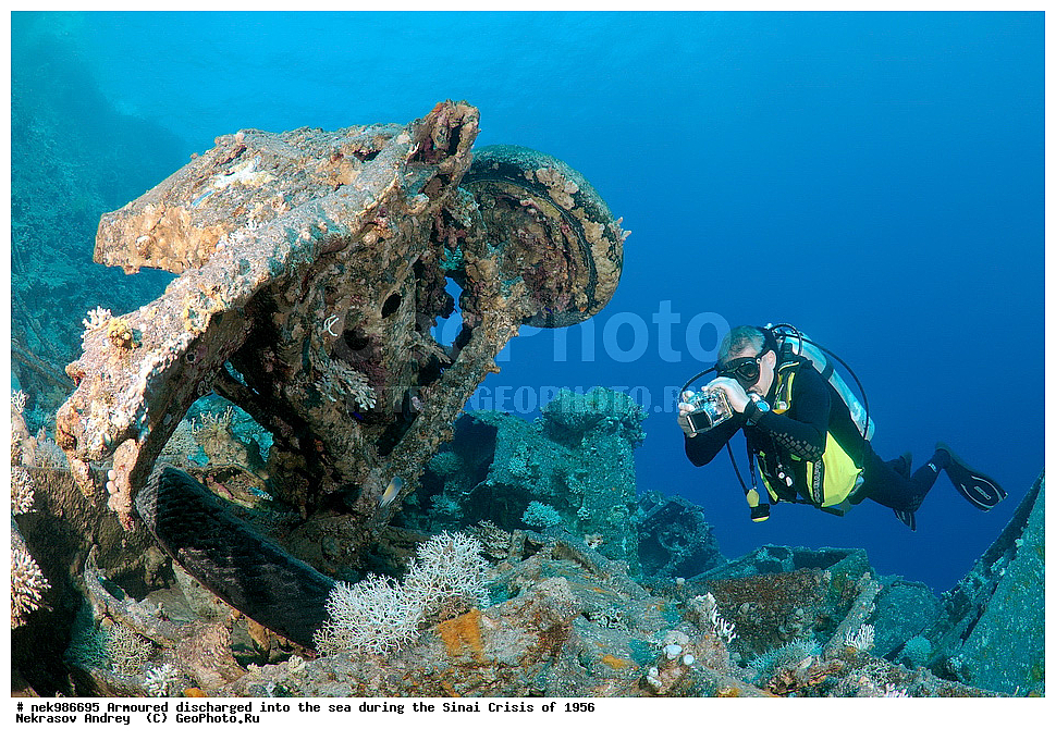 ������������, ����, ��������� ������, ������� �����, �����, �������, �������, �������, ���������, ������, ����������, ��� �����, ���������, ���������, ����������, ����, ����, ��������� ���, �������, ���, �� ���, ������� ����, ������, ����������, ���, ����������, ����������, �����, ��, ���, �������������, ������, ������, ��������, �����������, ����������, �������, 1956, ���, ���������, �����, ������, �����������, ����������, ����������, ������������, �����, ���������, ���������, Bedford, ��������, ����������