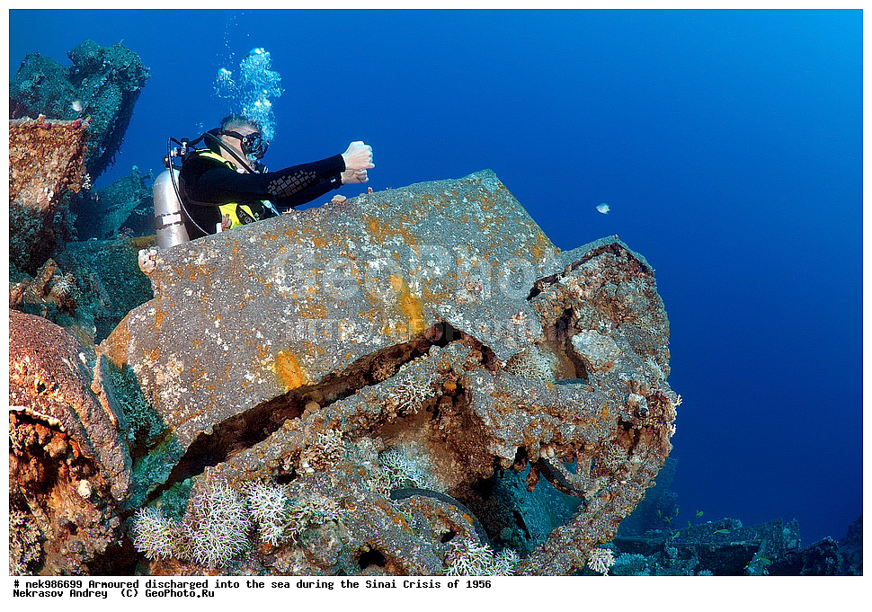 ������������, ����, ��������� ������, ������� �����, �����, �������, �������, �������, ���������, ������, ����������, ��� �����, ���������, ���������, ����������, ����, ����, ��������� ���, �������, ���, �� ���, ������� ����, ������, ����������, ���, ����������, ����������, �����, ��, ���, �������������, ������, ������, ��������, �����������, ����������, �������, 1956, ���, ���������, �����, ������, �����������, ����������, ����������, ������������, �����, ���������, �����������������, ����������������, Bren Carrier, MK-1, ��������, ���