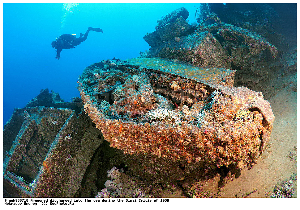 ������������, ����, ��������� ������, ������� �����, �����, �������, �������, �������, ���������, ������, ����������, ��� �����, ���������, ���������, ����������, ����, ����, ��������� ���, �������, ���, �� ���, ������� ����, ������, ����������, ���, ����������, ����������, �����, ��, ���, �������������, ������, ������, ��������, �����������, ����������, �������, 1956, ���, ���������, �����, ������, �����������, ����������, ����������, ������������, �����, ���������, �����������������, ����������������, Bren Carrier, MK-1, ��������, ���