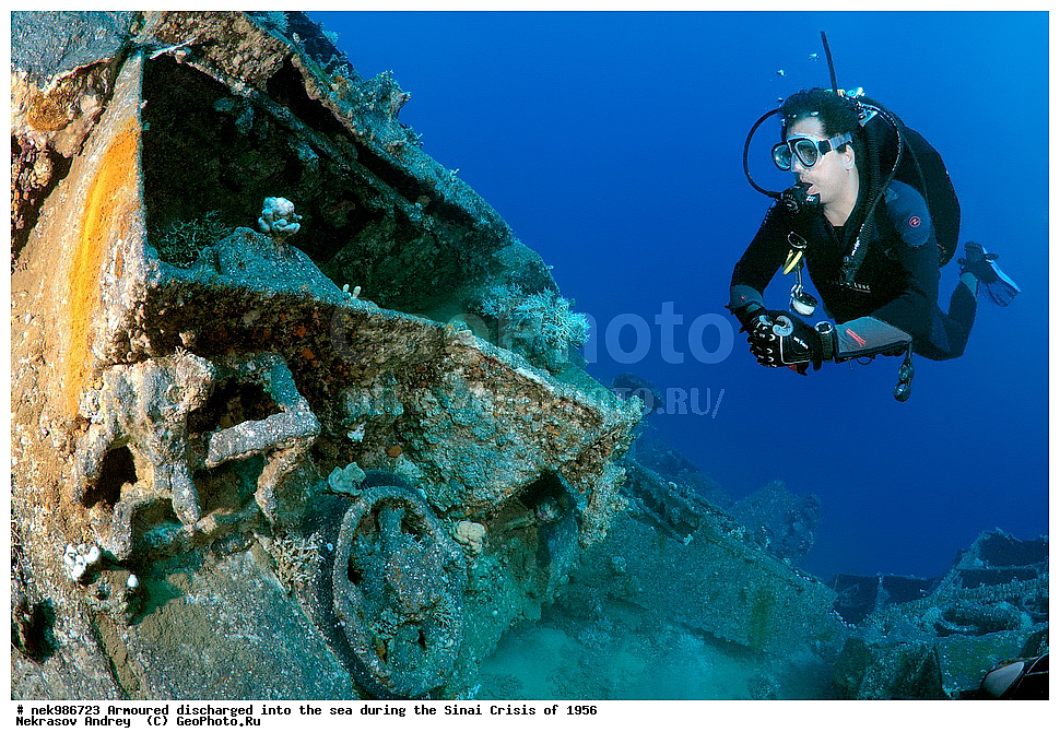 ������������, ����, ��������� ������, ������� �����, �����, �������, �������, �������, ���������, ������, ����������, ��� �����, ���������, ���������, ����������, ����, ����, ��������� ���, �������, ���, �� ���, ������� ����, ������, ����������, ���, ����������, ����������, �����, ��, ���, �������������, ������, ������, ��������, �����������, ����������, �������, 1956, ���, ���������, �����, ������, �����������, ����������, ����������, ������������, �����, ���������, �����������������, ����������������, Bren Carrier, MK-1, ��������, ���