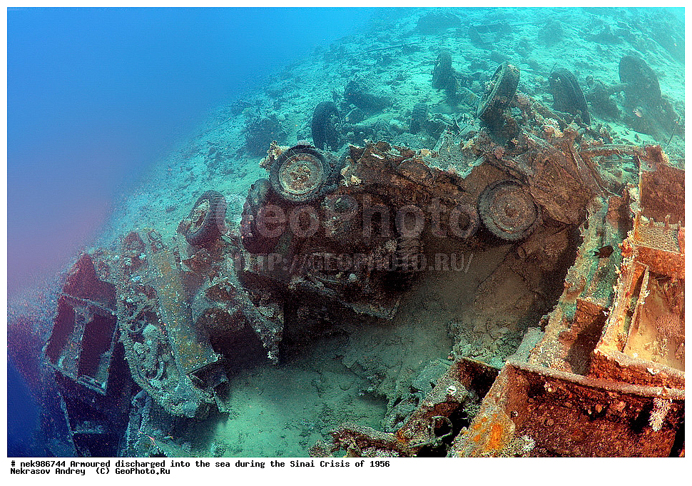 ������������, ����, ��������� ������, ������� �����, �����, �������, �������, �������, ���������, ������, ����������, ��� �����, ���������, ���������, ����������, ����, ����, ��������� ���, �������, ���, �� ���, ������� ����, ������, ����������, ���, ����������, ����������, �����, ��, ���, �������������, ������, ������, ��������, �����������, ����������, �������, 1956, ���, ���������, �����, ������, �����������, ����������, ����������, ������������, �����, ���������