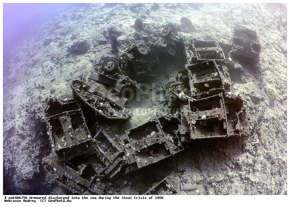 ������������, ����, ��������� ������, ������� �����, �����, �������, �������, �������, ���������, ������, ����������, ��� �����, ���������, ���������, ����������, ����, ����, ��������� ���, �������, ���, �� ���, ������� ����, ������, ����������, ���, ����������, ����������, �����, ��, ���, �������������, ������, ������, ��������, �����������, ����������, �������, 1956, ���, ���������, �����, ������, �����������, ����������, ����������, ������������, �����, ���������, ���������, Bedford, ��������, ����������