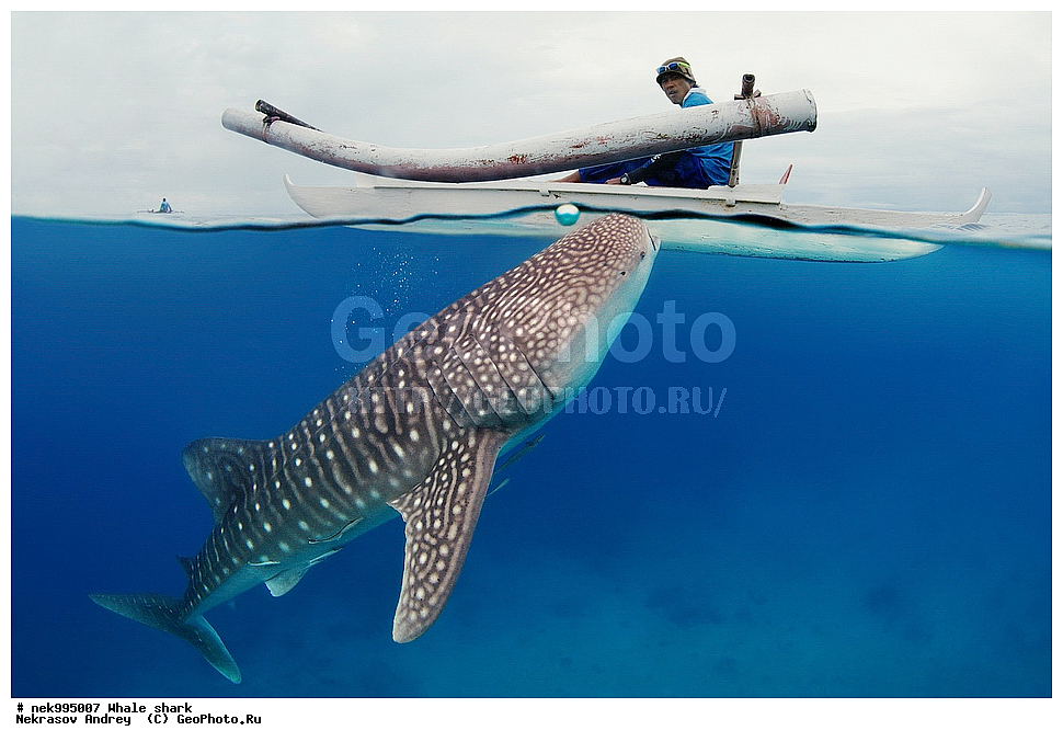 ����, ������� �����, �����, �����, ��������, ���������, ���������� ����, ����-�������, �����, ����, �����, ����������, �������, �����������, ���������, ���, �����, ���������, ���������, ����������, ����, ����, ��������� ���, �������, ������, �����, ����, ���� , ������� �����, �������, �����������, �����������, �����������, �����, �������, �����, ������������, ��������