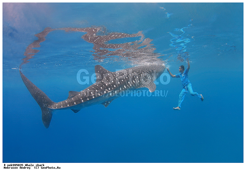 ����, ������� �����, �����, �����, ��������, ���������, ���������� ����, ����-�������, �����, ����, �����, ����������, �������, �����������, ���������, ���, �����, ���������, ���������, ����������, ����, ����, ��������� ���, �������, ������, �����, ����, ���� , ������� �����, �������, �����������, �����������, �����������, �����, �������, �����, ������������, ��������