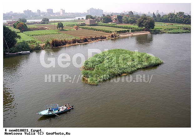 ������, ����, ���