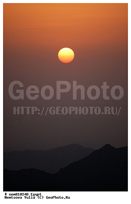 ������, �����, ������, ���� ������