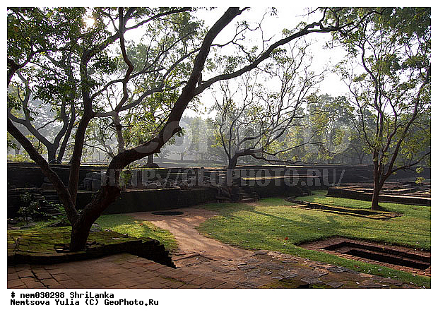 ����, �������, ������, ���-�����, ���� �������