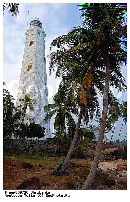 ������, ������, ���-�����, ����