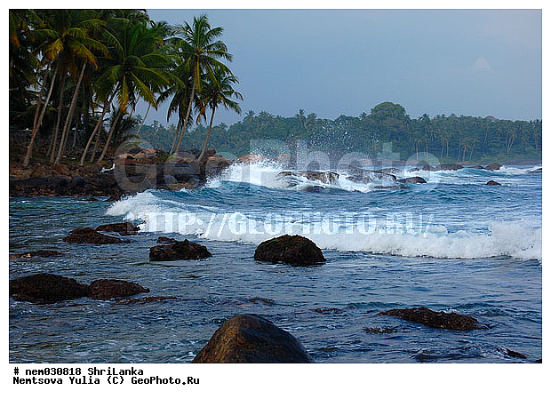 ������, ������, ���-�����, �����, ������