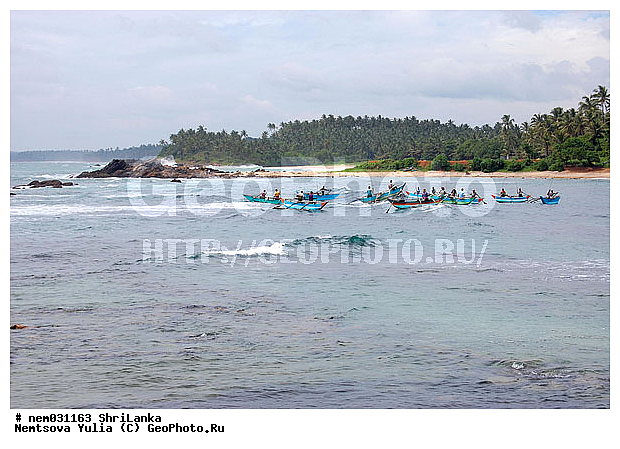 ��������, ������, ���-�����, �������, �������� �����